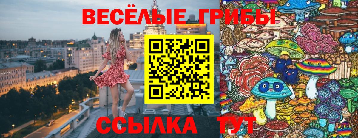 Галлюциногенные грибы Magic Shrooms  Вход с VPN  что такое   Щёлково  Галлюциногенные грибы MAGIC MUSHROOMS 