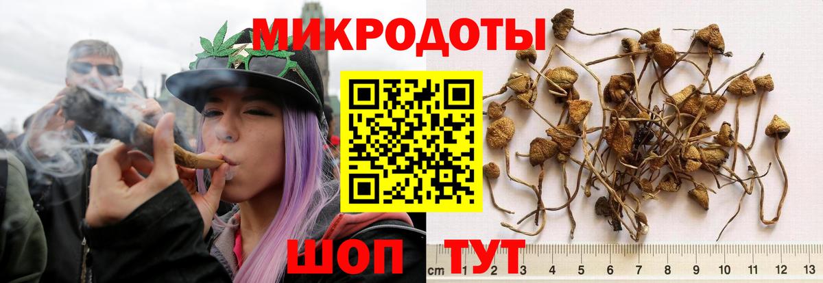 Щёлково  ГАШ  Метамфетамин  Экстази  Канабис  A PVP СОЛЬ кристаллы  Вход с VPN  Меф МЯУ МЯУ  