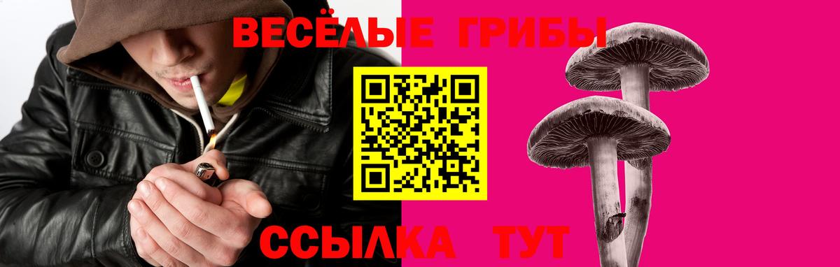 Псилоцибиновые грибы прущие грибы Щёлково